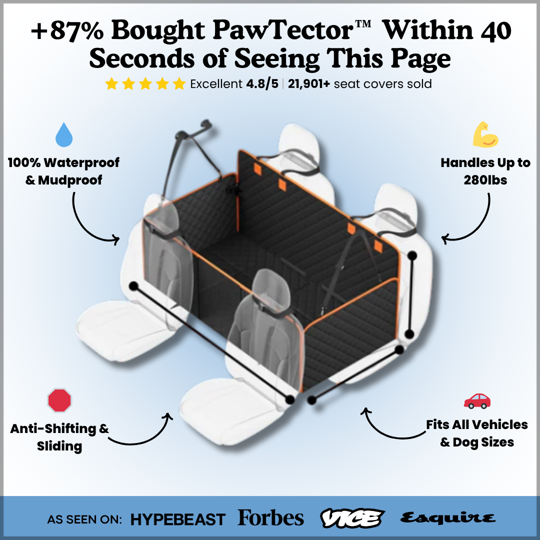 PawTector™ Car Seat Protector: Crash-Tested. Dirt-Proof. Built Like a Tank.
