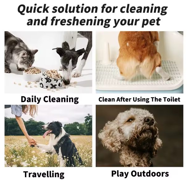 Pet Fresh™ 80-Count Dog Wipes – Hypoallergenic & Travel Friendly